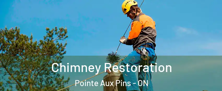 Chimney Restoration Pointe Aux Pins - ON