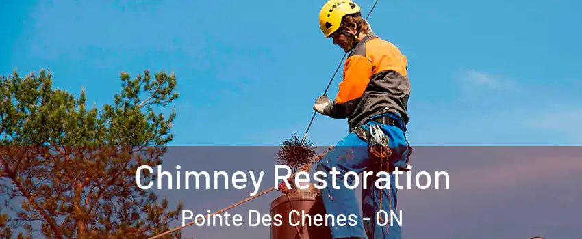  Chimney Restoration Pointe Des Chenes - ON