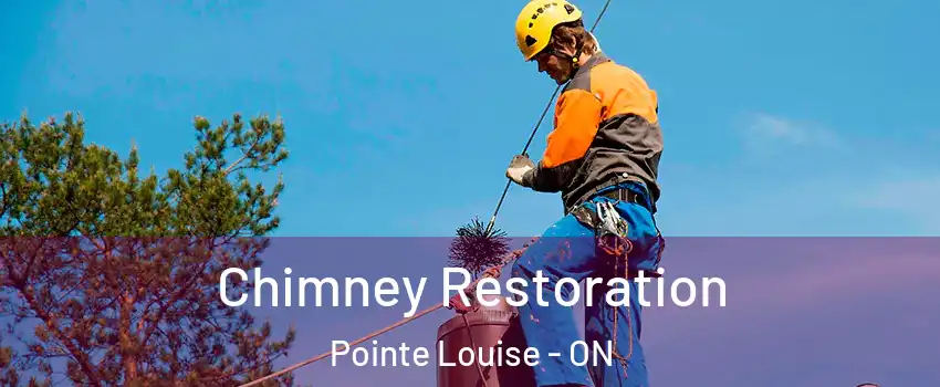  Chimney Restoration Pointe Louise - ON