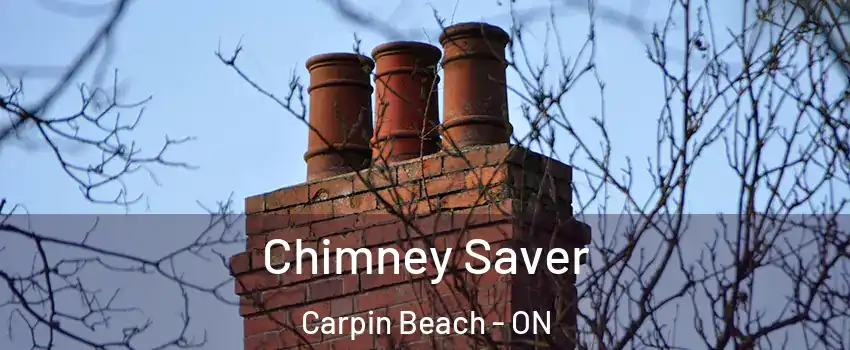 Chimney Saver Carpin Beach - ON