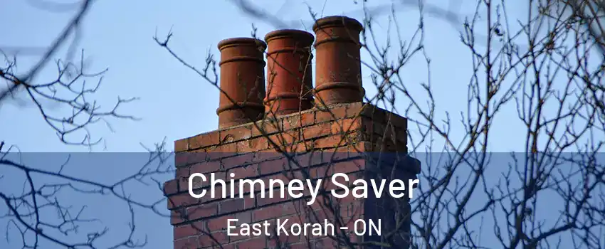  Chimney Saver East Korah - ON