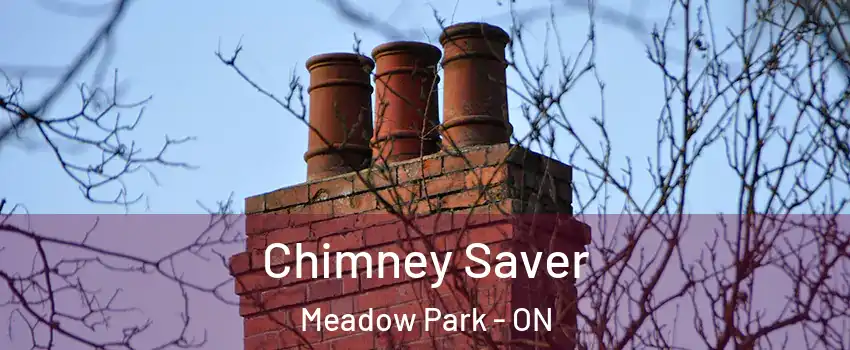 Chimney Saver Meadow Park - ON