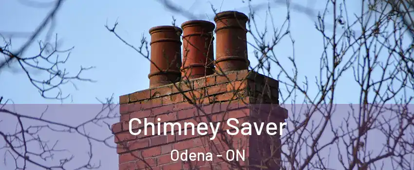  Chimney Saver Odena - ON