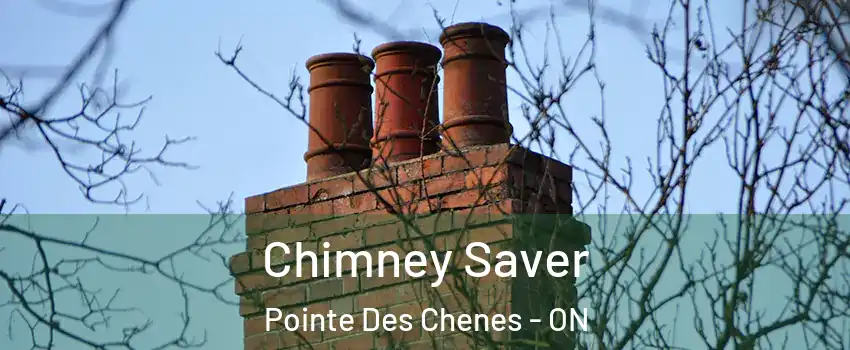  Chimney Saver Pointe Des Chenes - ON