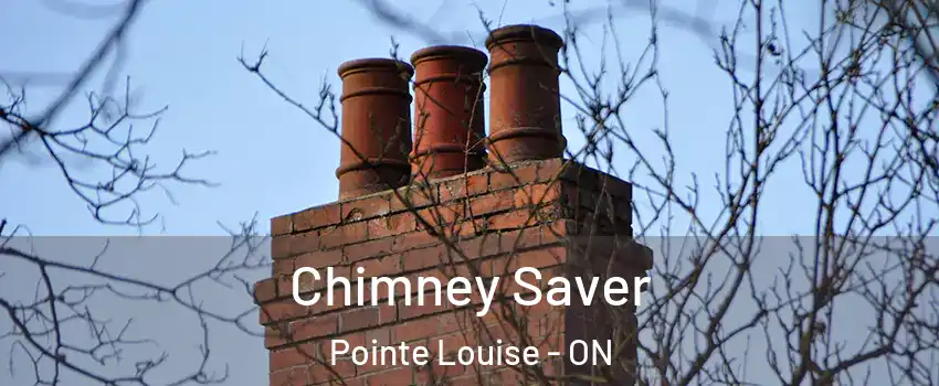  Chimney Saver Pointe Louise - ON
