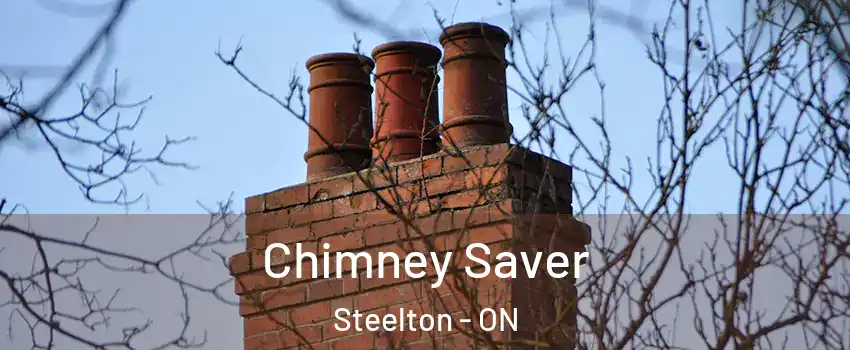  Chimney Saver Steelton - ON