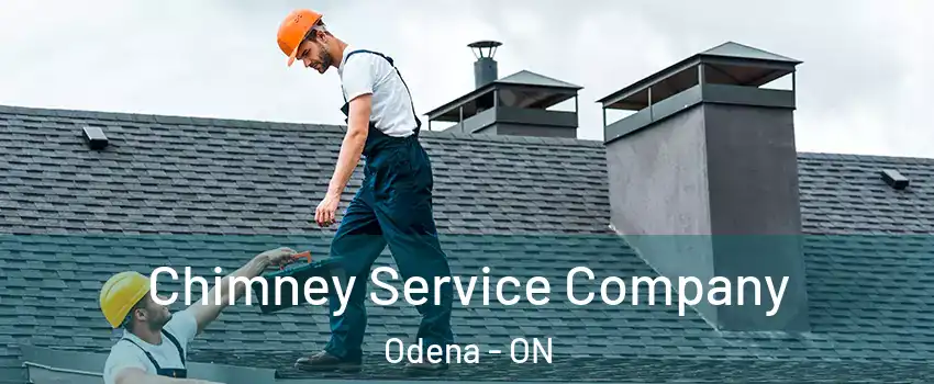  Chimney Service Company Odena - ON