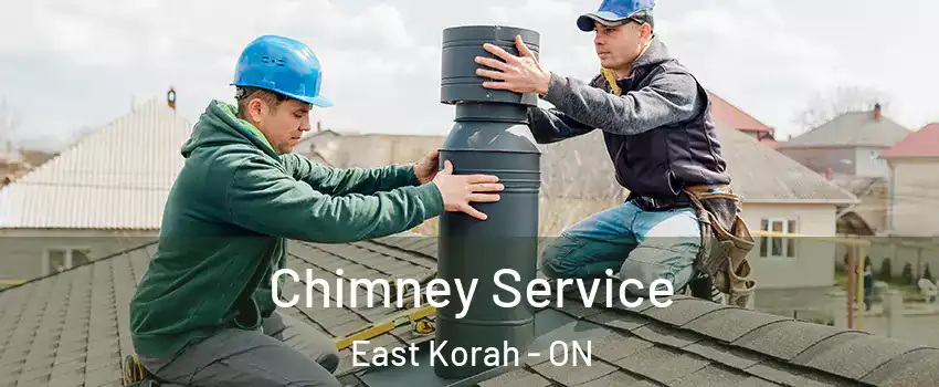  Chimney Service East Korah - ON
