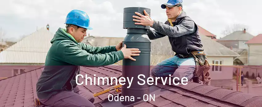  Chimney Service Odena - ON