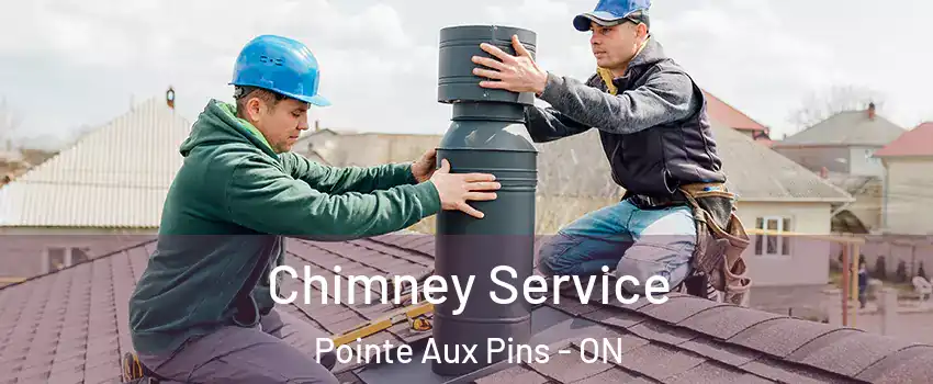  Chimney Service Pointe Aux Pins - ON