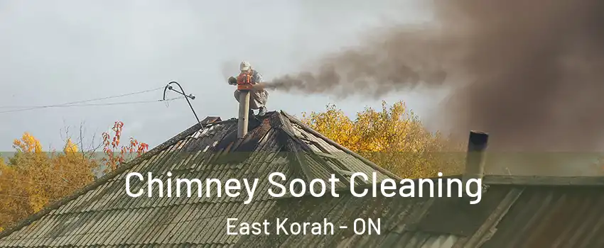  Chimney Soot Cleaning East Korah - ON