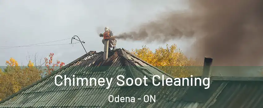 Chimney Soot Cleaning Odena - ON