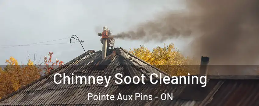  Chimney Soot Cleaning Pointe Aux Pins - ON