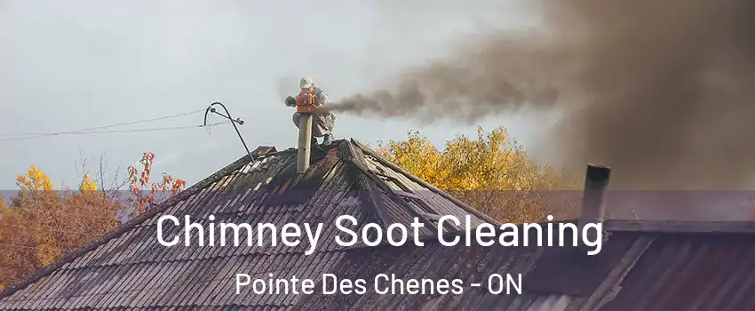 Chimney Soot Cleaning Pointe Des Chenes - ON