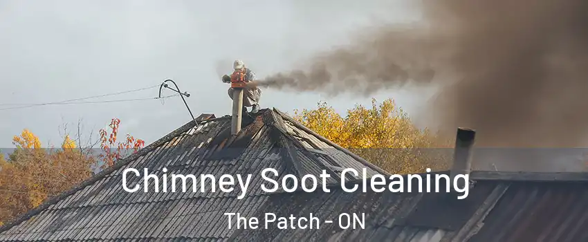  Chimney Soot Cleaning The Patch - ON
