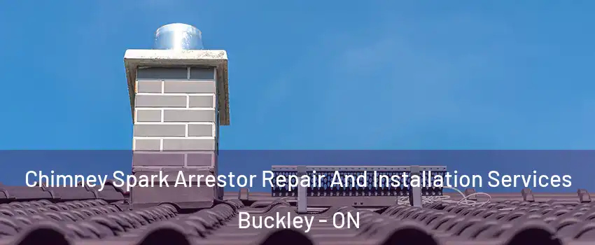  Chimney Spark Arrestor Repair And Installation Services Buckley - ON