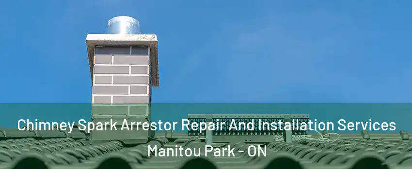  Chimney Spark Arrestor Repair And Installation Services Manitou Park - ON