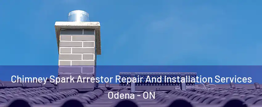  Chimney Spark Arrestor Repair And Installation Services Odena - ON