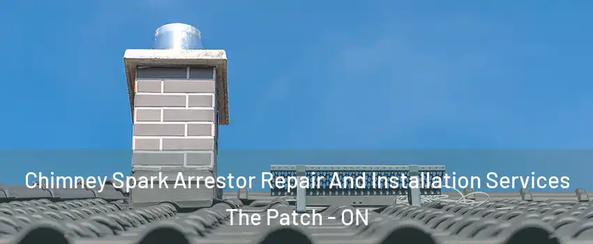  Chimney Spark Arrestor Repair And Installation Services The Patch - ON