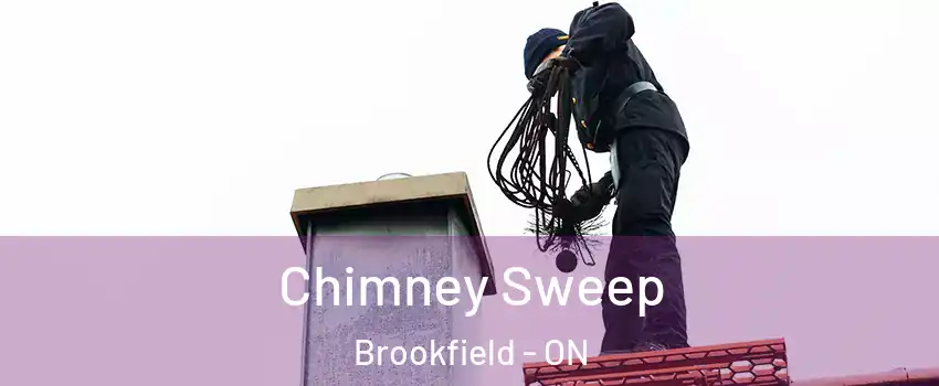  Chimney Sweep Brookfield - ON