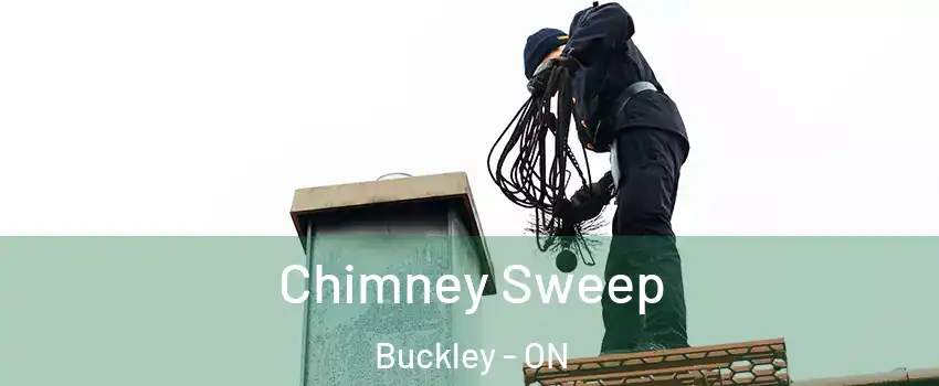  Chimney Sweep Buckley - ON