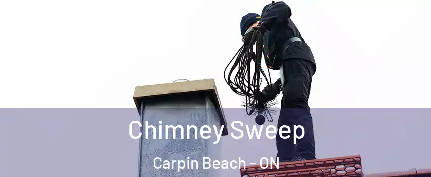  Chimney Sweep Carpin Beach - ON