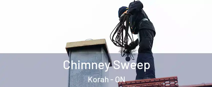  Chimney Sweep Korah - ON