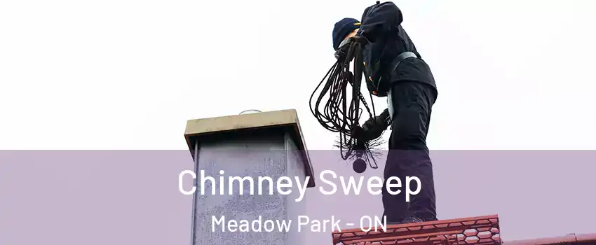 Chimney Sweep Meadow Park - ON
