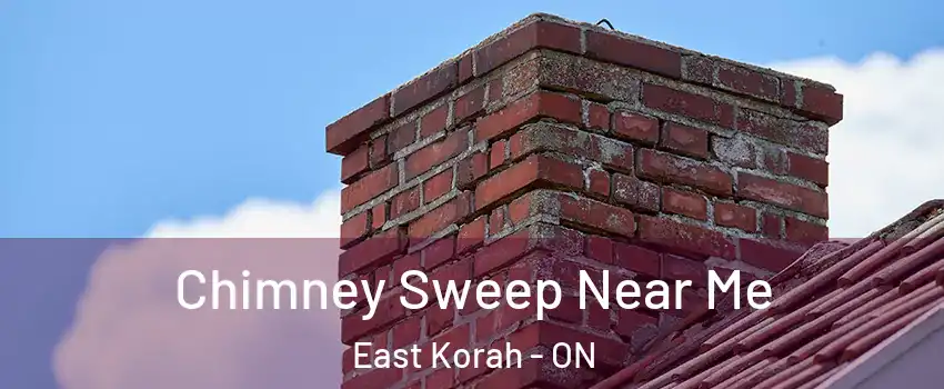  Chimney Sweep Near Me East Korah - ON