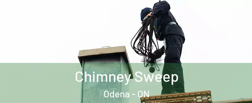  Chimney Sweep Odena - ON