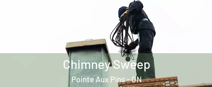  Chimney Sweep Pointe Aux Pins - ON