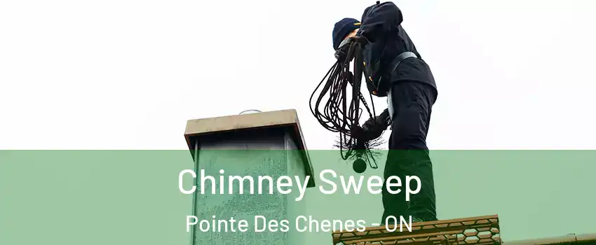  Chimney Sweep Pointe Des Chenes - ON