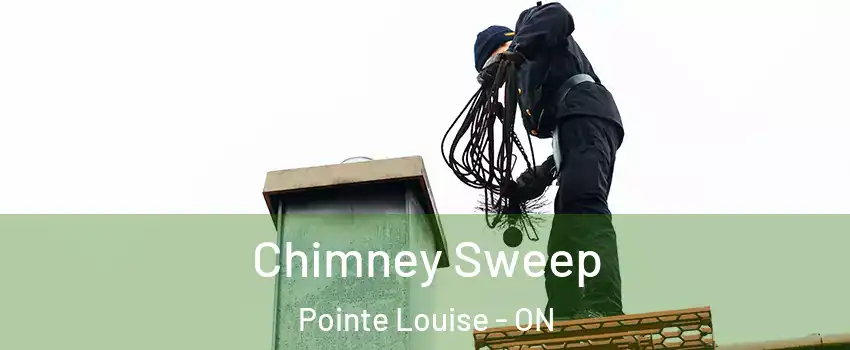  Chimney Sweep Pointe Louise - ON