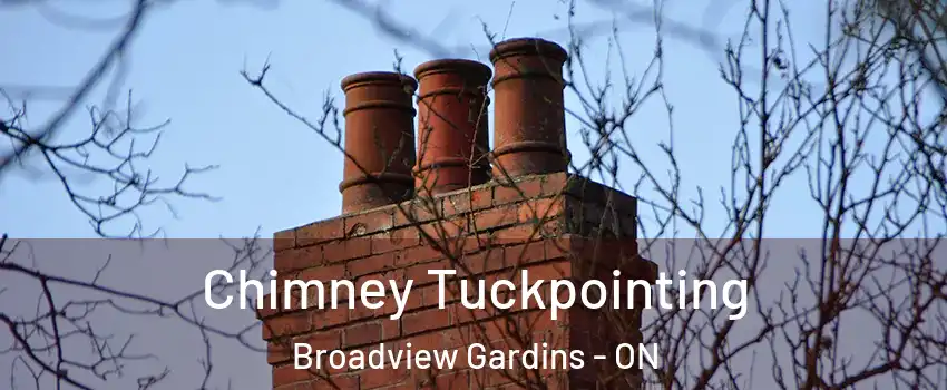  Chimney Tuckpointing Broadview Gardins - ON