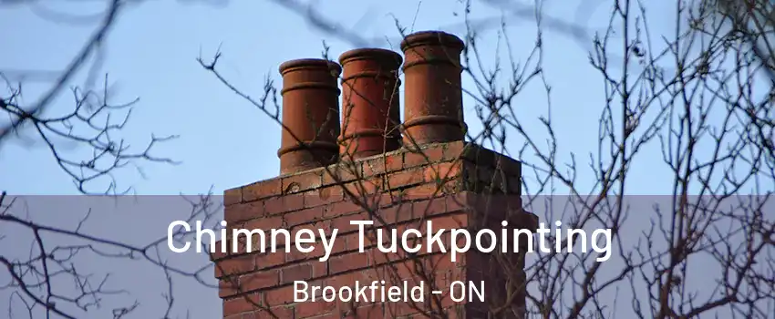  Chimney Tuckpointing Brookfield - ON
