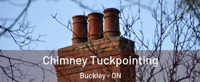  Chimney Tuckpointing Buckley - ON
