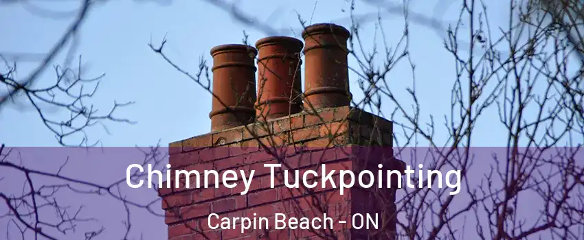  Chimney Tuckpointing Carpin Beach - ON