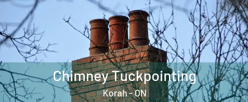  Chimney Tuckpointing Korah - ON