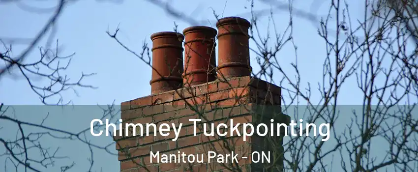Chimney Tuckpointing Manitou Park - ON