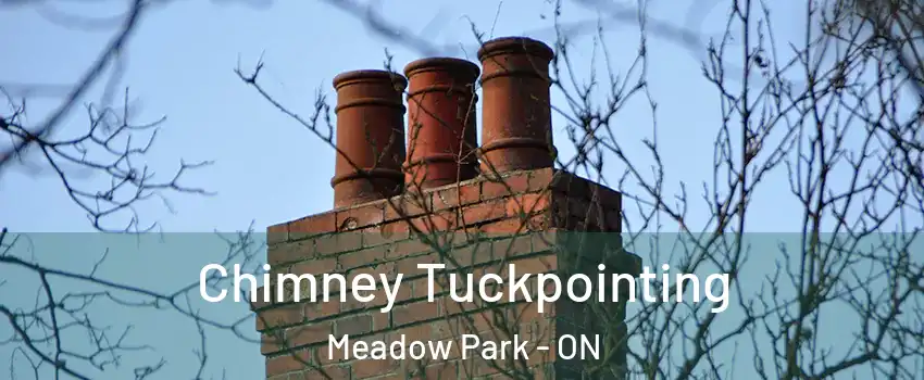 Chimney Tuckpointing Meadow Park - ON