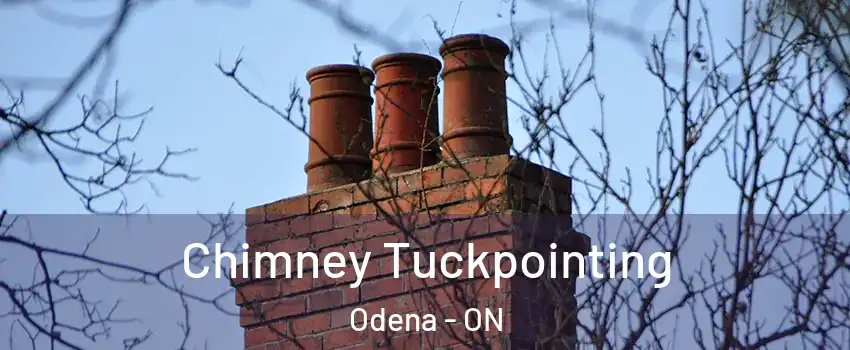  Chimney Tuckpointing Odena - ON