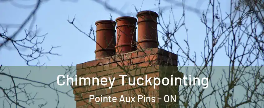  Chimney Tuckpointing Pointe Aux Pins - ON