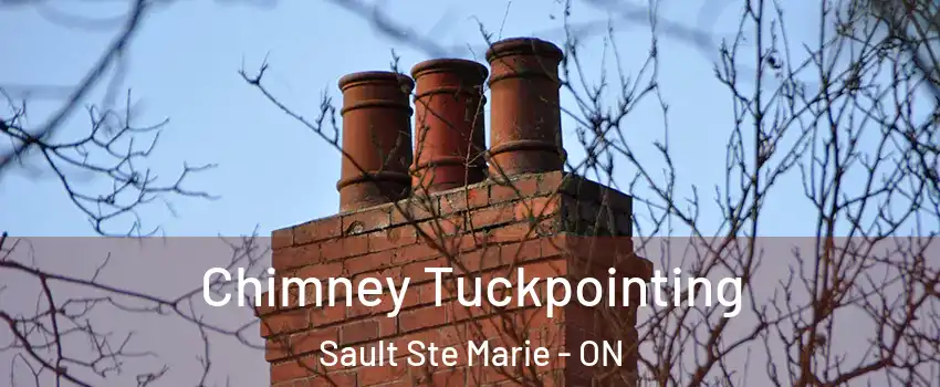  Chimney Tuckpointing Sault Ste Marie - ON