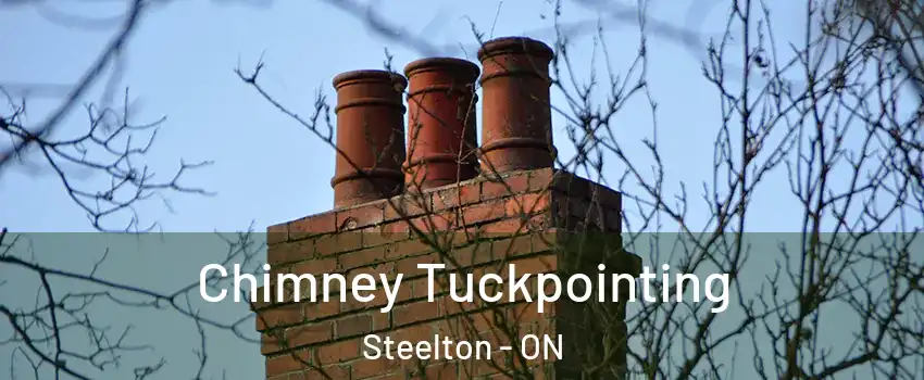  Chimney Tuckpointing Steelton - ON