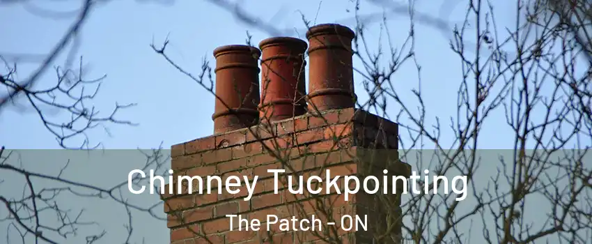  Chimney Tuckpointing The Patch - ON