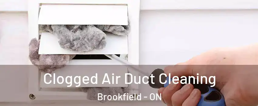  Clogged Air Duct Cleaning Brookfield - ON