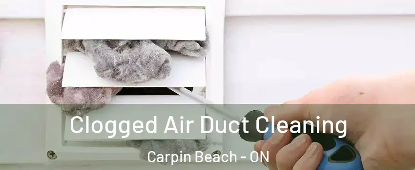  Clogged Air Duct Cleaning Carpin Beach - ON