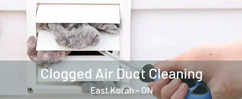  Clogged Air Duct Cleaning East Korah - ON