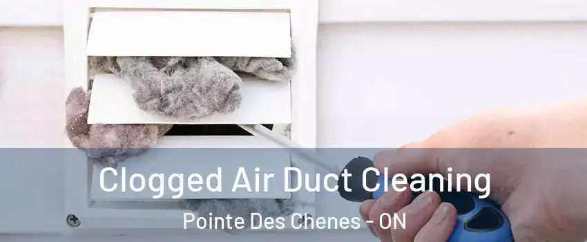  Clogged Air Duct Cleaning Pointe Des Chenes - ON