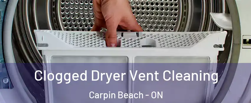  Clogged Dryer Vent Cleaning Carpin Beach - ON